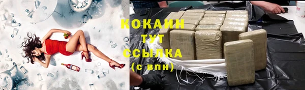 гашик Арсеньев