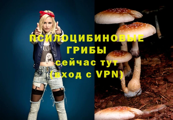 jwh Аркадак